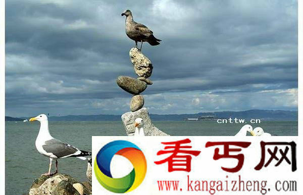 不解之谜!印尼民间大师比尔-丹的诡异石块平衡术