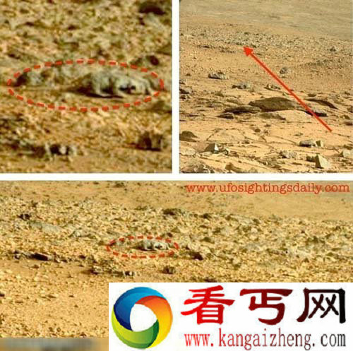好奇号又有惊人发现:一只火星蜥蜴(组图)