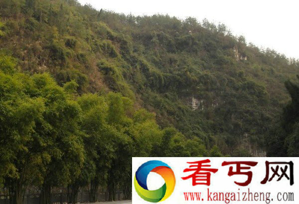 硝洞湾捕蜂捉影水源寻蜜