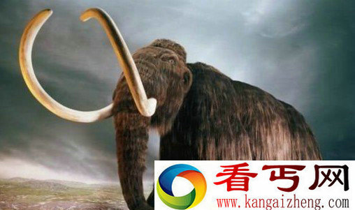 [图文]猛犸灭绝论 陨星碰撞地球