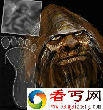 [图文]北美大脚怪DNA研究
