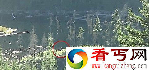 加拿大丛林拍摄到大脚野人