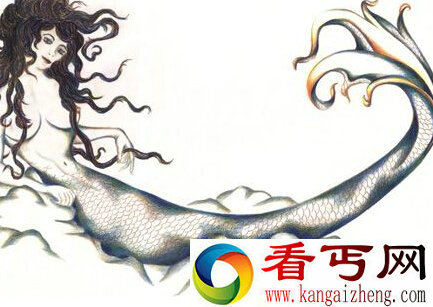 美人鱼之谜 美人鱼到底是什么生物？