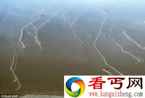 [图文]破解揭开死亡谷石块移动之谜