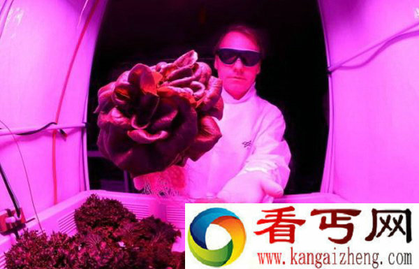 科学家拟建“太空花园”用尿液种植新鲜蔬菜