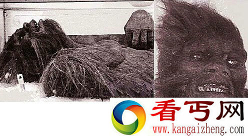 大脚野人居然迫使美国动用远程控制潜行飞艇搜寻