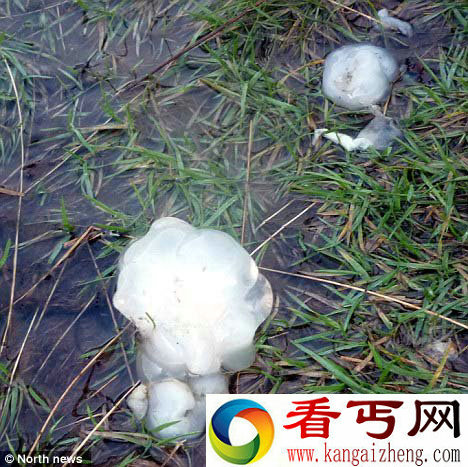 英国出现的半透明"果冻"被疑似为外星物质