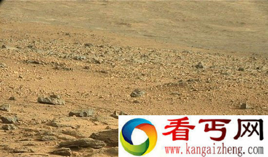 美宇航局的火星照片被疑有蜥蜴生命体【图文】