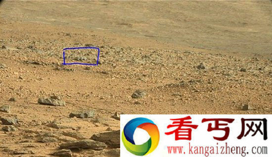 美宇航局的火星照片被疑有蜥蜴生命体【图文】