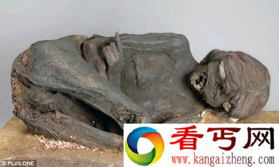 印加千年女干尸据科学家称因头部遭重击致死【图文】