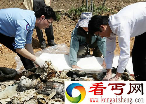 印加千年女干尸据科学家称因头部遭重击致死【图文】