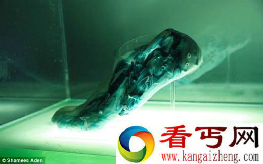 英国方面在研发3D打印可再生鞋【图】