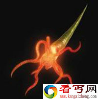 南极冰湖存在嗜极生物踪迹?【图文】