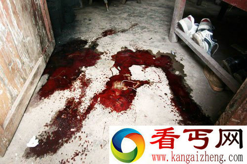 [图文]贵州遵义农户家中地面莫名“喷血”持续十余分钟