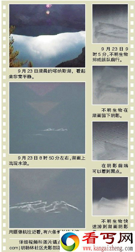 [图文]新疆喀纳斯湖再现“湖怪”不明生物或是大鱼