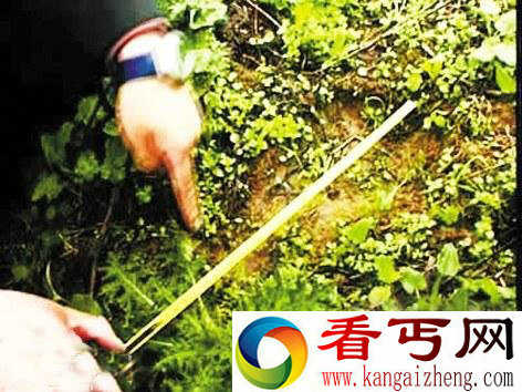 [图文]神农架尚无野人存在直接证据引发科学界分歧