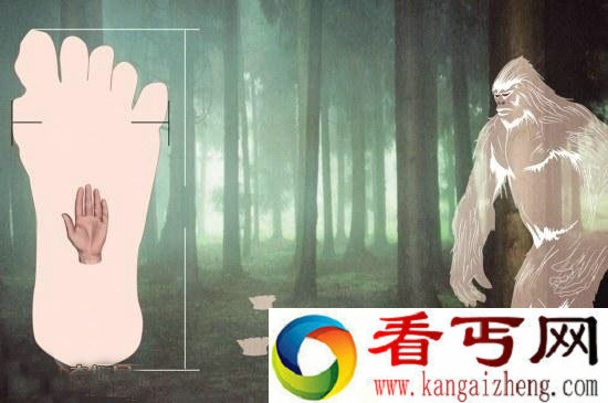 [图文]神农架尚无野人存在直接证据引发科学界分歧