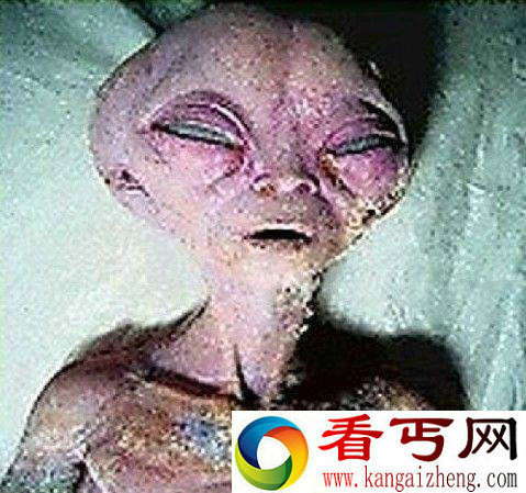 [多图]“外星人照片”曾经震惊世界究竟是真是假？