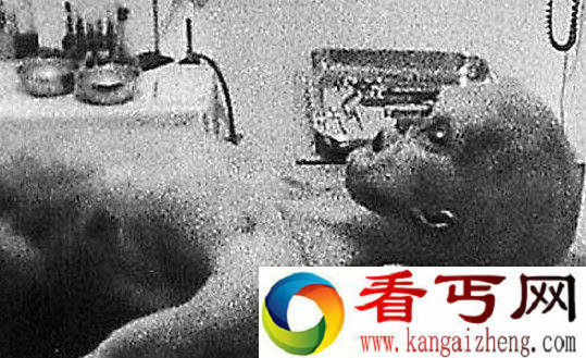 [多图]“外星人照片”曾经震惊世界究竟是真是假？