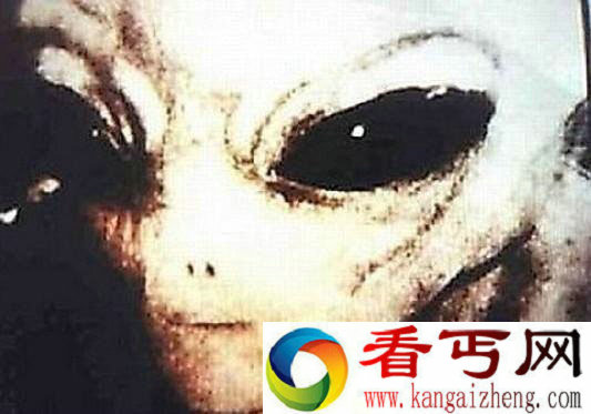 [多图]“外星人照片”曾经震惊世界究竟是真是假？