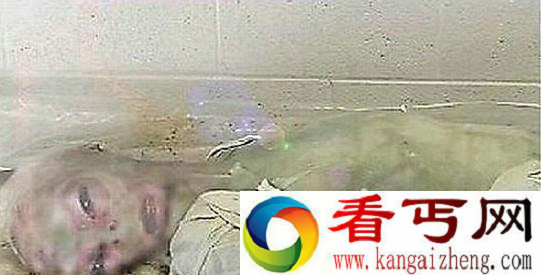 [多图]“外星人照片”曾经震惊世界究竟是真是假？