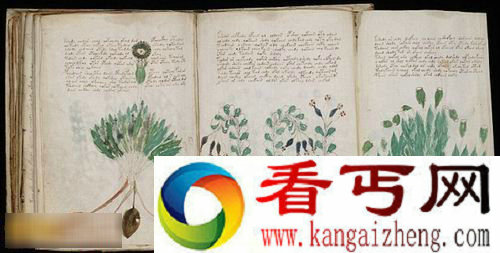 [图文]现实版的达-芬奇密码:伏尼契手稿