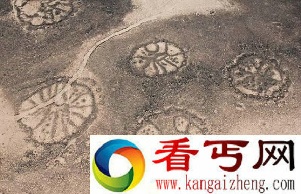 [图文]中东地区出现大量神秘的石轮图案