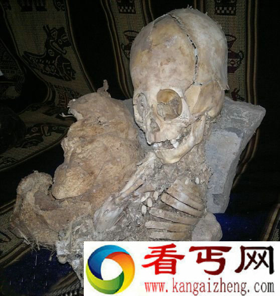 [图文]秘鲁发现两具巨头干尸!疑似外星人遗骸