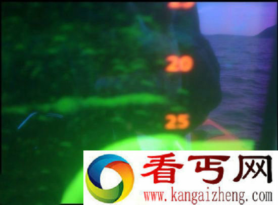 [图文]船长拍下尼斯湖怪声纳图像