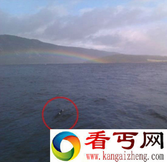 [图文]船长拍下尼斯湖怪声纳图像
