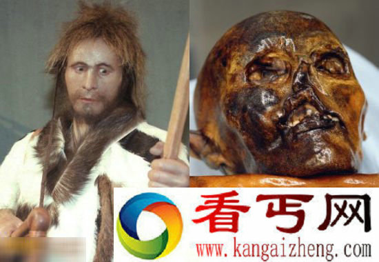 [图文]冰人“奥茨”血液样本研究发现