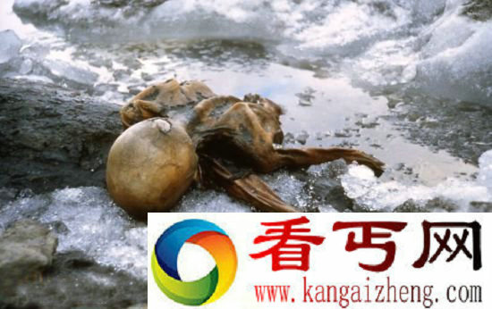 [图文]冰人“奥茨”血液样本研究发现