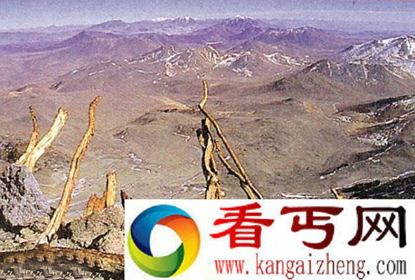 [图文]破解500年前印加冰少女木乃伊死因之谜