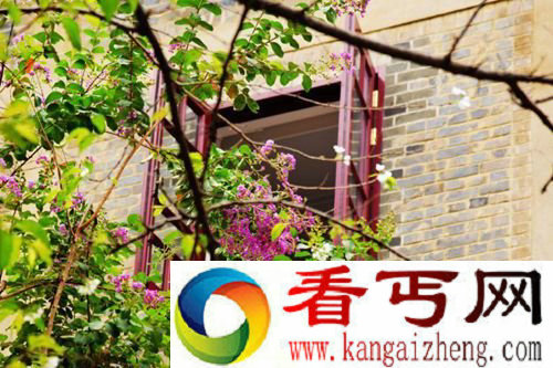 武大新生住樱花城堡 老宅翻修显韵味