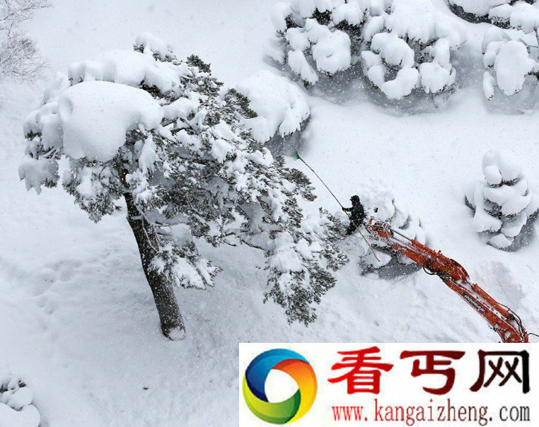 韩国东海岸地区连续六天降大雪