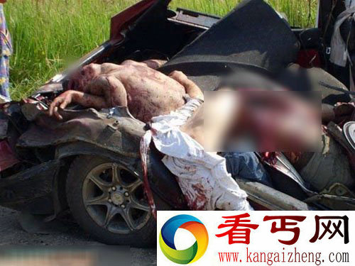 血腥直击各类车祸尸体满地的惊悚现场图片集