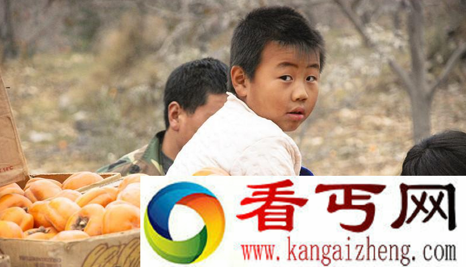 无人问津 保定易县2亿斤柿子滞销