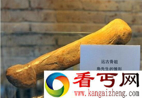 古代女子自慰五大性工具自慰双头淫具