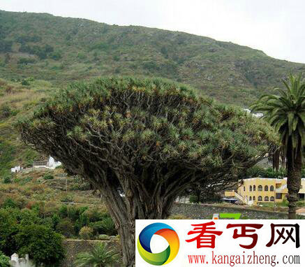 9个令人匪夷所思的谜团至今仍然解释不了