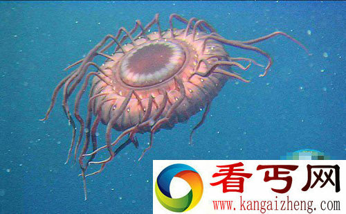 人类未解谜团UFO为什么更偏爱水