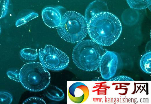 人类十大超能力之谜 人类真的有超能力吗