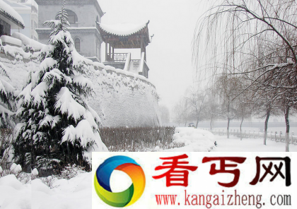 冻死后可以复活吗？ 冻死人复活之谜
