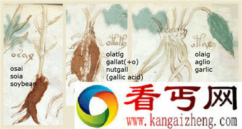 人类到现在还无法破解的密码 你有办法吗？