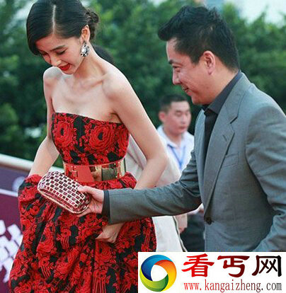 王中磊老婆王海珍个人资料 王中磊传过绯闻的女明星有哪些？