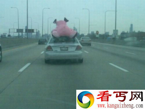 老外搞笑图片笑死人 让人不可捉摸