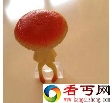 绝了！日本痛经蘑菇诞生了