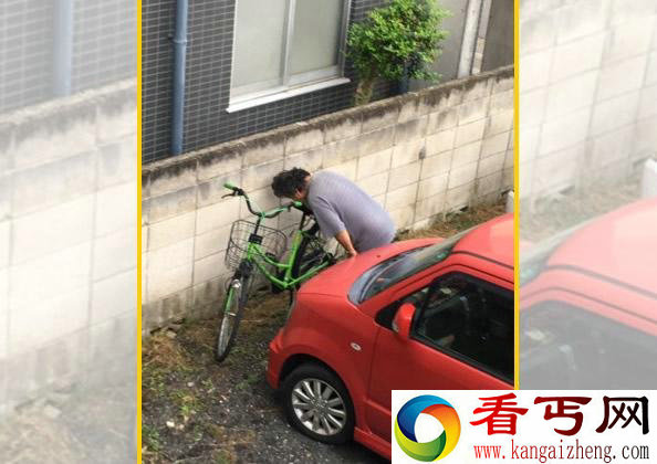 岛国奇葩货 爱舔女生自行车坐垫