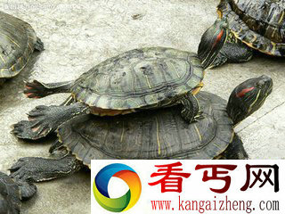 盘点那些奇葩的迷信行为圆房治病