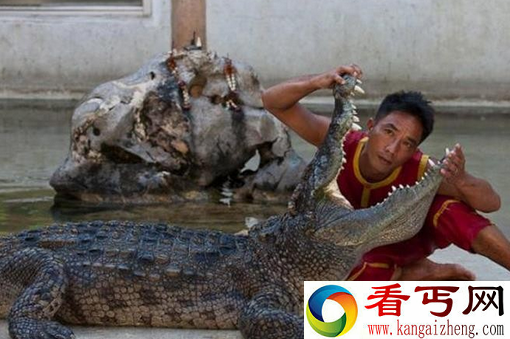 三兄弟为治病性侵鳄鱼 结果下场很惨