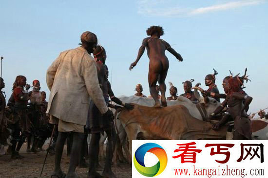 "裸体跳牛":跳过去才可以娶妻(图)